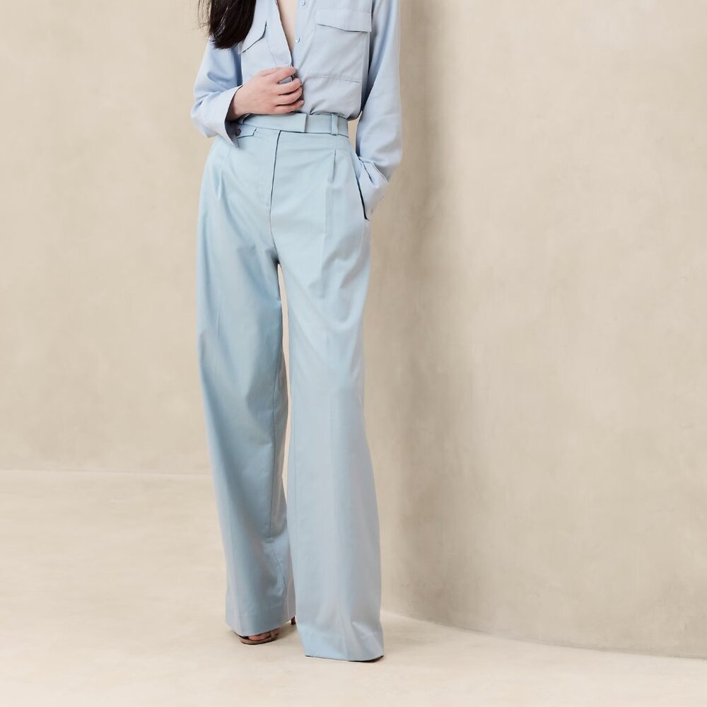 Banana Republic Carmel Pleated Wide Leg Pant - Blue - 2/4 Petite